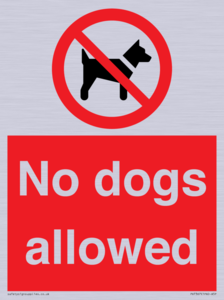 No dogs allowed